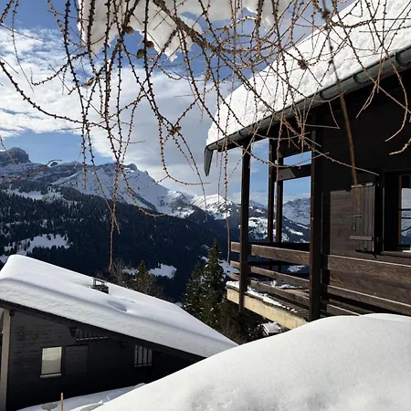 Beautiful With Exceptional Views, Very Quiet Gryon