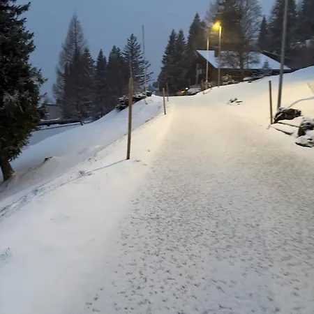 Beautiful With Exceptional Views, Very Quiet Chalet Gryon
