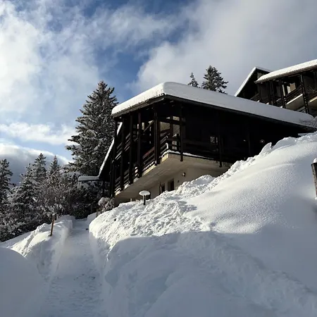 Beautiful With Exceptional Views, Very Quiet Chalet *
