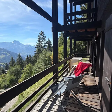 Beautiful With Exceptional Views, Ski-to-door, Very Quiet * Gryon